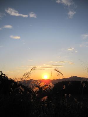 毎時5分・20分・35分・50分の写真