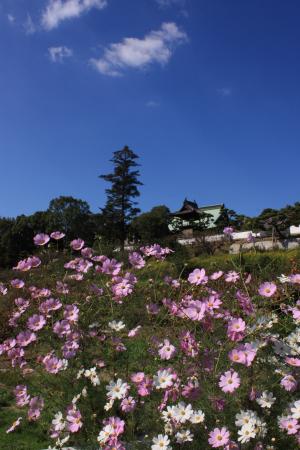 毎時6分・21分・36分・51分の写真