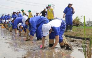 活力魅力溢れる