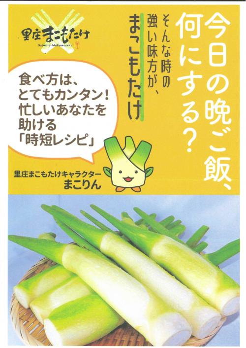 リーフレット