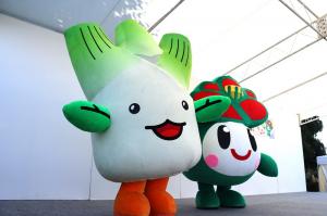 産業文化祭のステージに立つまこりん